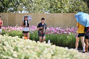 BIB: 
                            <button type="button" onclick="openModal(27796197)" class="btn btn-primary btn-sm float-right btn-popup" data-toggle="modal" data-target=".modal-high-quality">
                        <i class="fas fa-shopping-cart"></i> Add to Cart
                    </button>
                                            <button type="button" onclick="isThisMe(27796197, true)" class="btn btn-success btn-sm float-right btn-popup btn-isme hidden" data-toggle="tooltip" data-placement="bottom" title="นี่คือรูปของคุณใช่ไหม คลิกที่นี่เพื่อเอาเข้าอัลบั้ม">
                        <i class="fas fa-plus"></i> Add to album
                    </button>
                    <button type="button" onclick="isThisMe(27796197, false)" class="btn btn-warning btn-sm float-right btn-popup btn-isnotme hidden">
                        <i class="fas fa-ban"></i> Remove from album
                    </button>